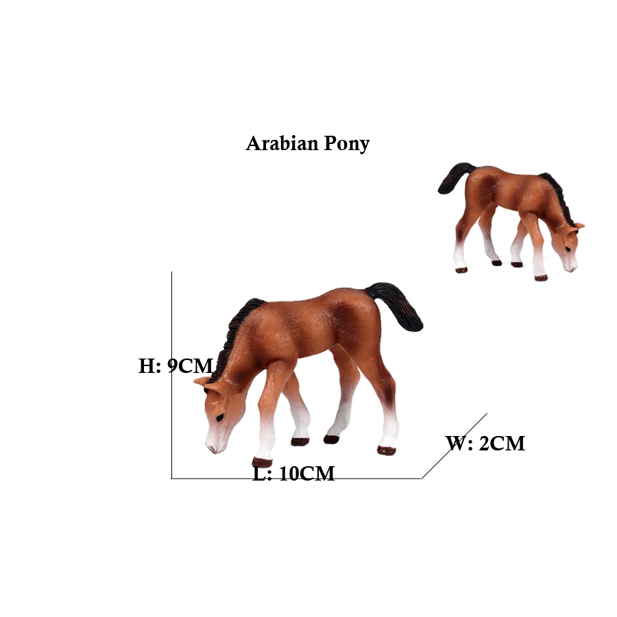Figurines de cheval d'Auckland - Model Kit Horse avis et prix