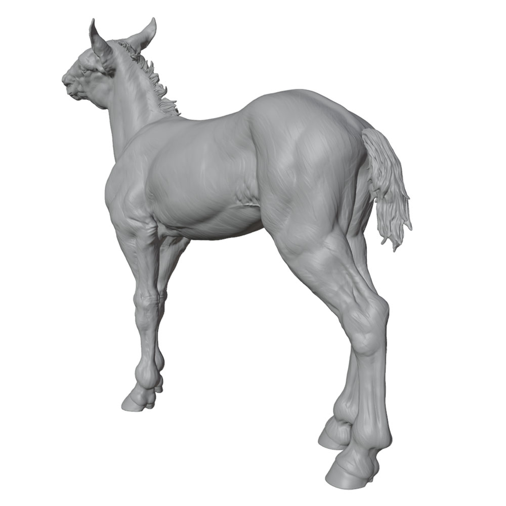 Impression haute définition, s - Model Kit Horse avis et prix