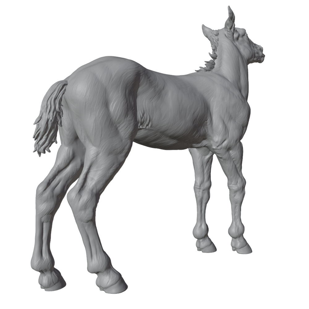 Impression haute définition, s - Model Kit Horse avis et prix
