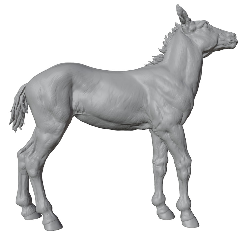 Impression haute définition, s - Model Kit Horse avis et prix
