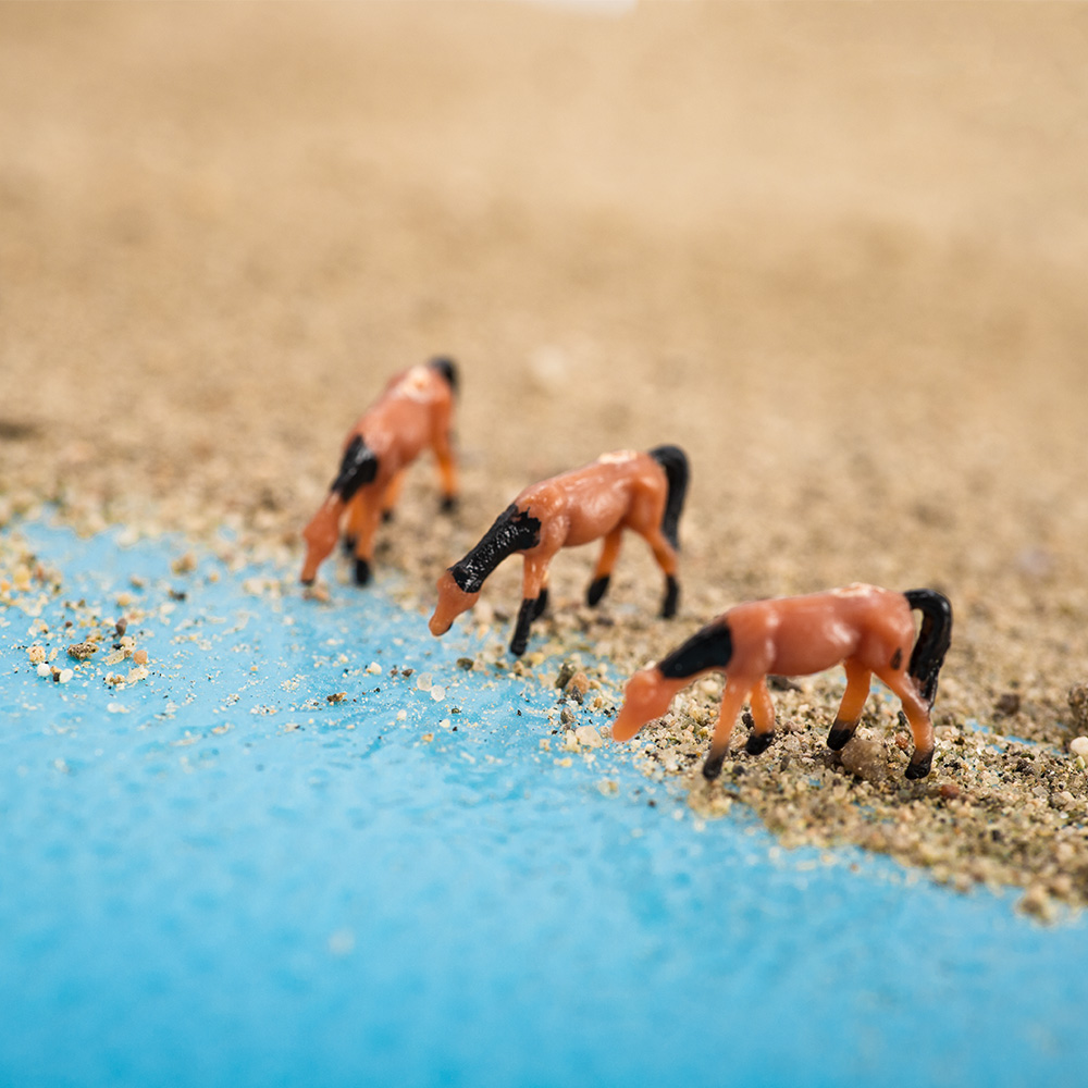 Modèle de cheval Miniature mar - Model Kit Horse avis et prix